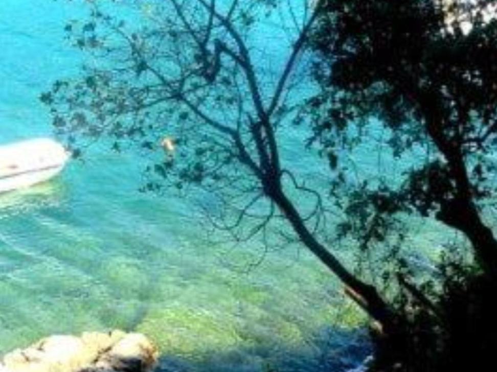 Old Istrian House,Free Parking Διαμέρισμα Galižana Εξωτερικό φωτογραφία